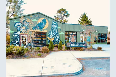 46 Belmont Avenue, Asheville, NC 28806 - Photo 45