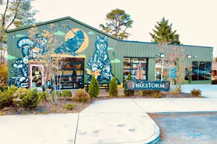 46 Belmont Ave, Asheville, NC 28806 - Photo 45