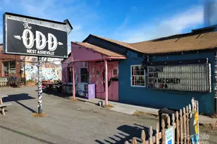 46 Belmont Ave, Asheville, NC 28806 - Photo 43