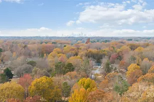 6615 Santa Cruz Trail, Charlotte, NC 28227 - Photo 37