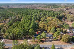 15861 Palmer Rd, Marston, NC 28363 - Photo 27