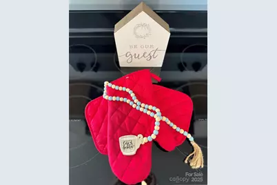 1135 Hannah Rae Court, Charlotte, NC 28214 - Photo 11