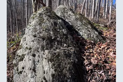 15 +/- Acres Riddle Branch Road, Burnsville, NC 28714 - Photo 21