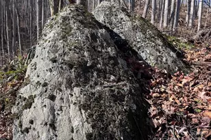 15 +/- Acres Riddle Branch Rd, Burnsville, NC 28714 - Photo 21