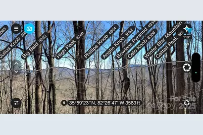 15 +/- Acres Riddle Branch Road, Burnsville, NC 28714 - Photo 5