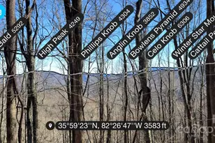 15 +/- Acres Riddle Branch Rd, Burnsville, NC 28714 - Photo 5