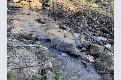 15 +/- Acres Riddle Branch Road, Burnsville, NC 28714 - Photo 3