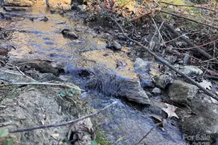 15 +/- Acres Riddle Branch Rd, Burnsville, NC 28714 - Photo 3