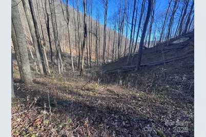 15 +/- Acres Riddle Branch Road, Burnsville, NC 28714 - Photo 9