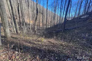 15 +/- Acres Riddle Branch Rd, Burnsville, NC 28714 - Photo 9