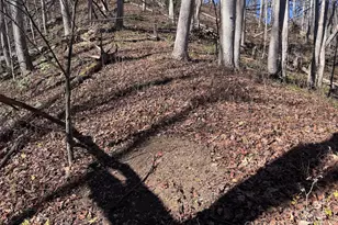 15 +/- Acres Riddle Branch Rd, Burnsville, NC 28714 - Photo 7