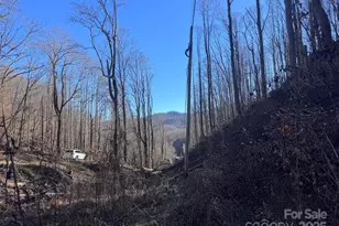 15 +/- Acres Riddle Branch Rd, Burnsville, NC 28714 - Photo 29
