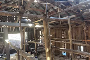 15 +/- Acres Riddle Branch Rd, Burnsville, NC 28714 - Photo 19