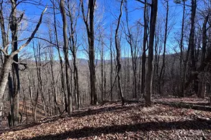 15 +/- Acres Riddle Branch Rd, Burnsville, NC 28714 - Photo 37