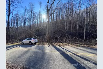 15 +/- Acres Riddle Branch Road, Burnsville, NC 28714 - Photo 35