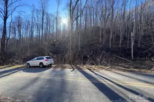 15 +/- Acres Riddle Branch Rd, Burnsville, NC 28714 - Photo 35