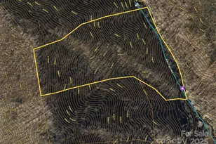 15 +/- Acres Riddle Branch Rd, Burnsville, NC 28714 - Photo 15