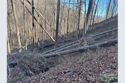 15 +/- Acres Riddle Branch Road, Burnsville, NC 28714 - Photo 27