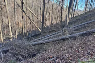 15 +/- Acres Riddle Branch Rd, Burnsville, NC 28714 - Photo 27