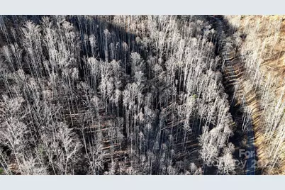 15 +/- Acres Riddle Branch Road, Burnsville, NC 28714 - Photo 33