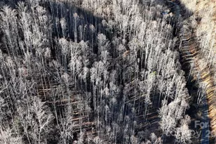 15 +/- Acres Riddle Branch Rd, Burnsville, NC 28714 - Photo 33