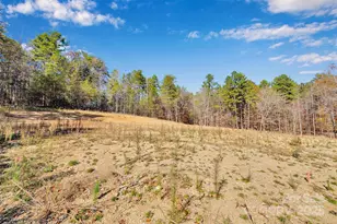 1470 Trotter Cir, Mount Pleasant, NC 28124 - Photo 9