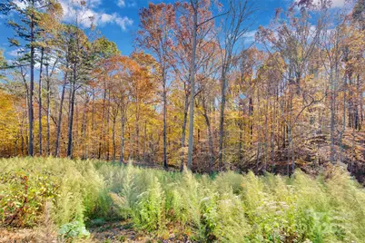 1470 Trotter Circle, Mount Pleasant, NC 28124 - Photo 13