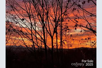 180 High Road Overlook, Hendersonville, NC 28739 - Photo 3