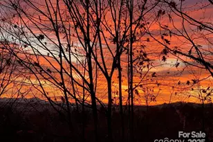 180 High Road Overlook, Hendersonville, NC 28739 - Photo 3