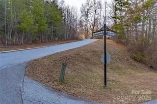 180 High Road Overlook, Hendersonville, NC 28739 - Photo 37