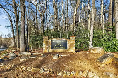 65 Deer Lane, Marion, NC 28752 - Photo 33