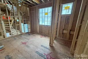 733 Charles Ave, Charlotte, NC 28205 - Photo 7