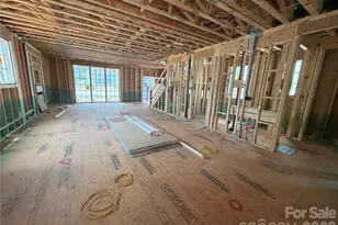 733 Charles Ave, Charlotte, NC 28205 - Photo 5