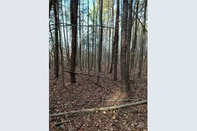 000 Hwy 64 Highway W, Mocksville, NC 27028 - Photo 7