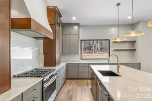 4459 Brancer Ln, Lincolnton, NC 28092 - Photo 9