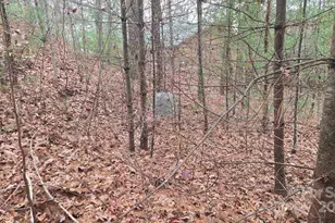 23 Jay Foster Way, Saluda, NC 28773 - Photo 43