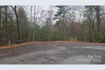 23 Jay Foster Way #22/23, Saluda, NC 28773 - Photo 39