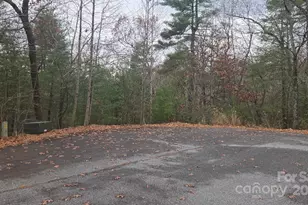 23 Jay Foster Way, Saluda, NC 28773 - Photo 39