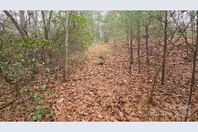 23 Jay Foster Way #22/23, Saluda, NC 28773 - Photo 41