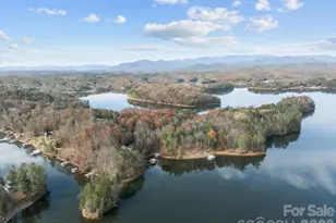 1224 Forest Lake Heights Dr, Nebo, NC 28761 - Photo 45