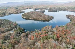 1224 Forest Lake Heights Dr, Nebo, NC 28761 - Photo 45