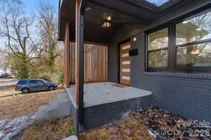 1325 Norris Ave, Charlotte, NC 28206 - Photo 47