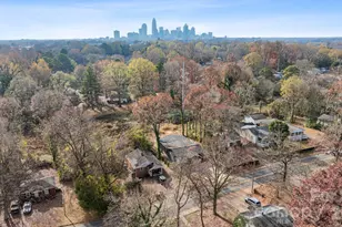 1325 Norris Ave, Charlotte, NC 28206 - Photo 47