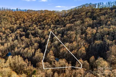 1877 Secluded Valley Road, Marshall, NC 28753 - Photo 31