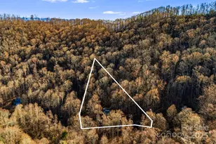 1877 Secluded Vly Rd, Marshall, NC 28753 - Photo 31