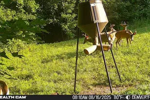 6221 King Wilkinson Rd, Denver, NC 28037 - Photo 17