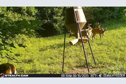 6221 King Wilkinson Road, Denver, NC 28037 - Photo 13