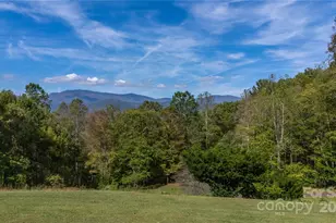 400 Three Dog Mountain Rd, Bakersville, NC 28705 - Photo 37