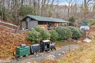 74 George St, Spruce Pine, NC 28777 - Photo 3