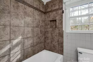 100 Sherwood Ridge Rd, Brevard, NC 28712 - Photo 19